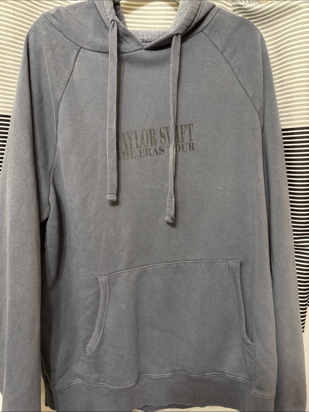 Taylor Swift Blue-Gray Pullover Hoodie with Subtle Logo